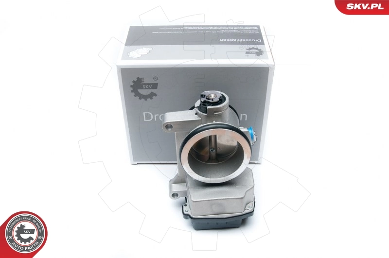 Throttle Body